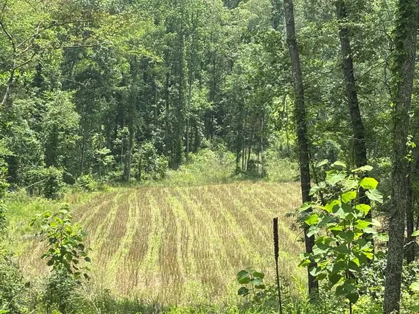 0 Hamilton Rd, Springville, TN 38256