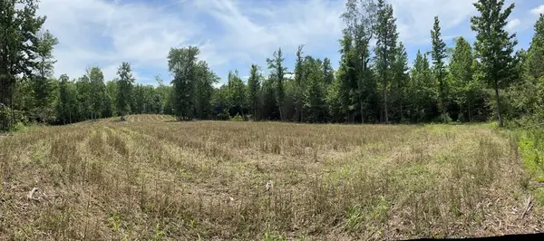 0 Hamilton Rd, Springville, TN 38256
