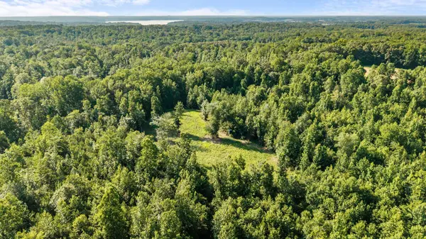 0 Hamilton Rd, Springville, TN 38256