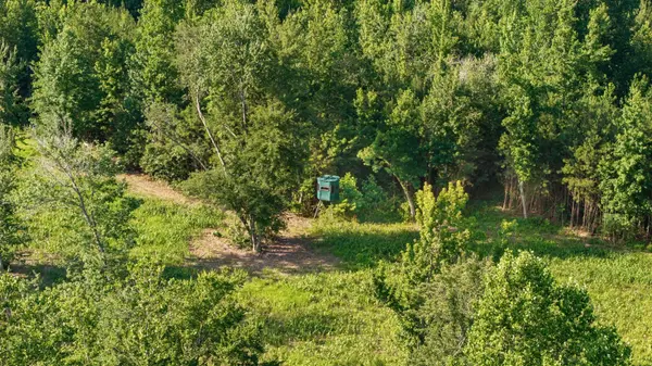 0 Hamilton Rd, Springville, TN 38256