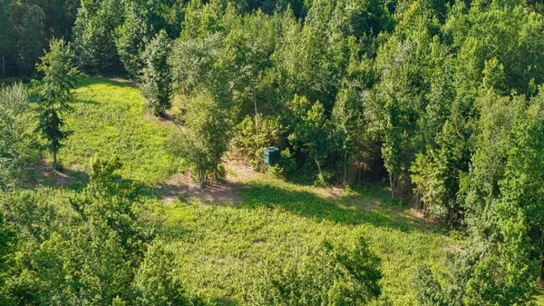 0 Hamilton Rd, Springville, TN 38256