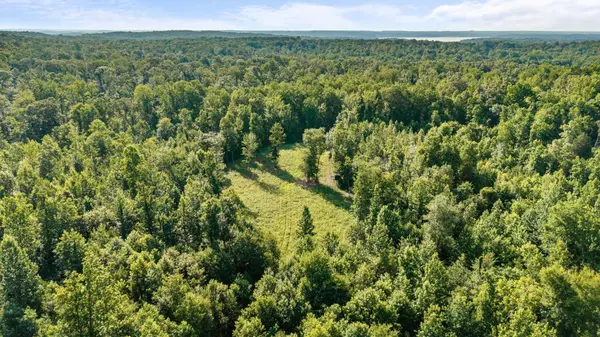 0 Hamilton Rd, Springville, TN 38256