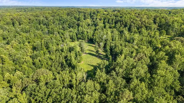 0 Hamilton Rd, Springville, TN 38256
