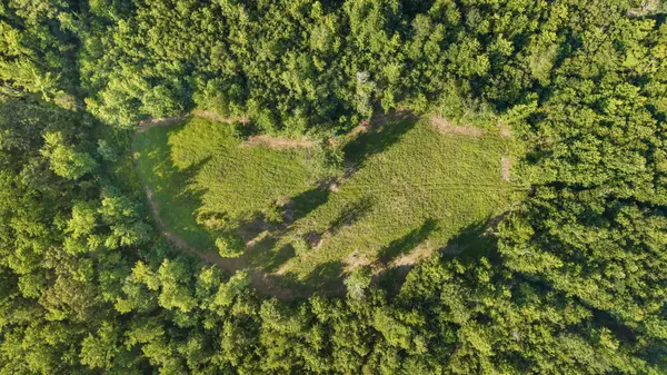0 Hamilton Rd, Springville, TN 38256