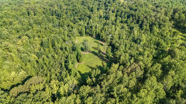 0 Hamilton Rd, Springville, TN 38256