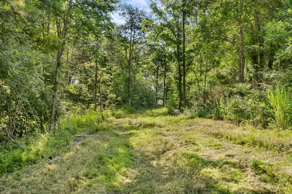 0 Hamilton Rd, Springville, TN 38256