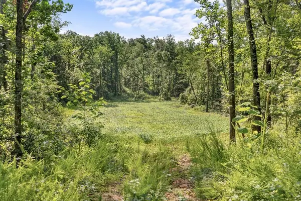 0 Hamilton Rd, Springville, TN 38256