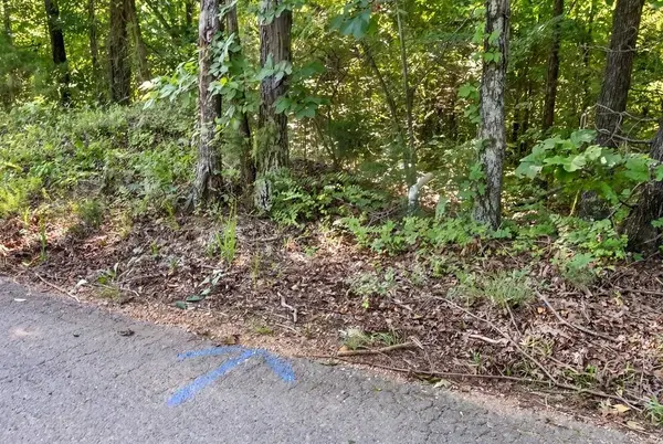 0 Hamilton Rd, Springville, TN 38256