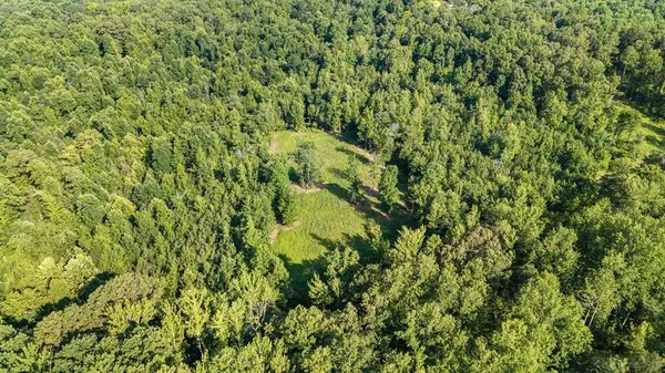0 Hamilton Rd, Springville, TN 38256