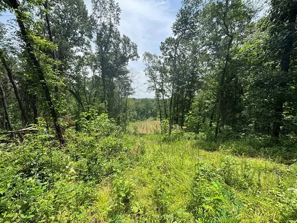 0 Hamilton Rd, Springville, TN 38256