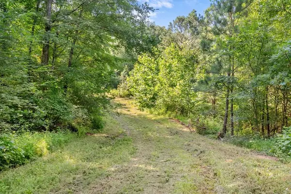 0 Hamilton Rd, Springville, TN 38256