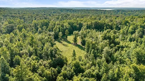 0 Hamilton Rd, Springville, TN 38256