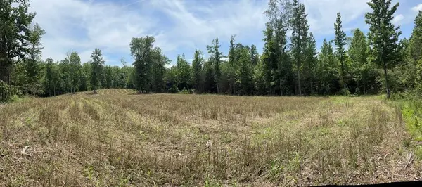 0 Hamilton Rd, Springville, TN 38256