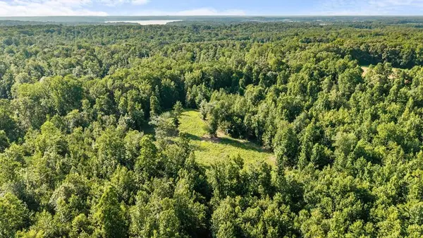 0 Hamilton Rd, Springville, TN 38256