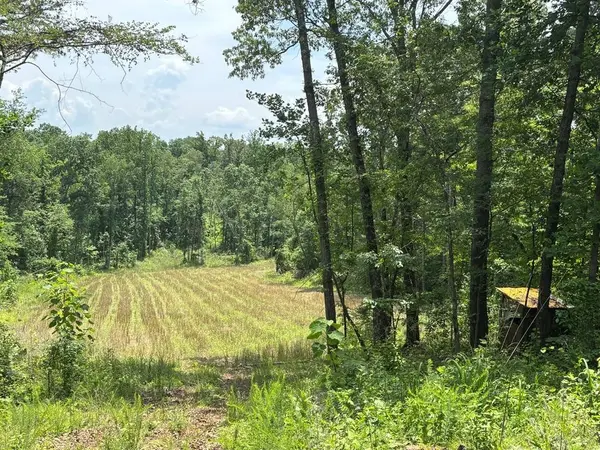 0 Hamilton Rd, Springville, TN 38256