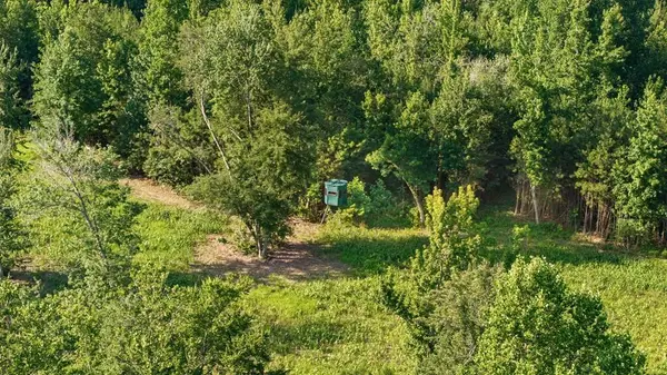 0 Hamilton Rd, Springville, TN 38256