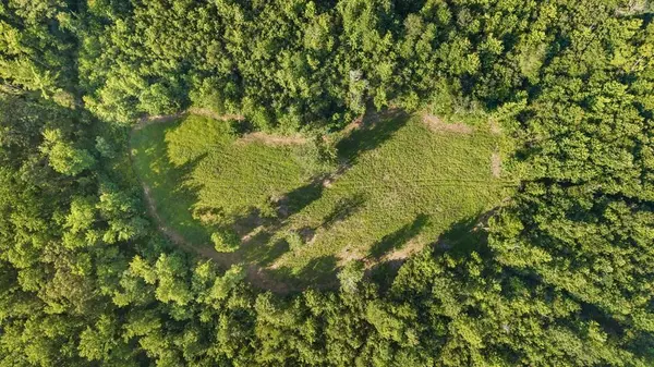 0 Hamilton Rd, Springville, TN 38256