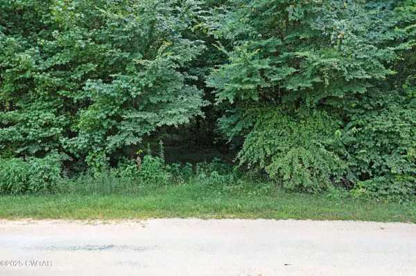 0 Cotton Grove RD, Beech Bluff, TN 38313