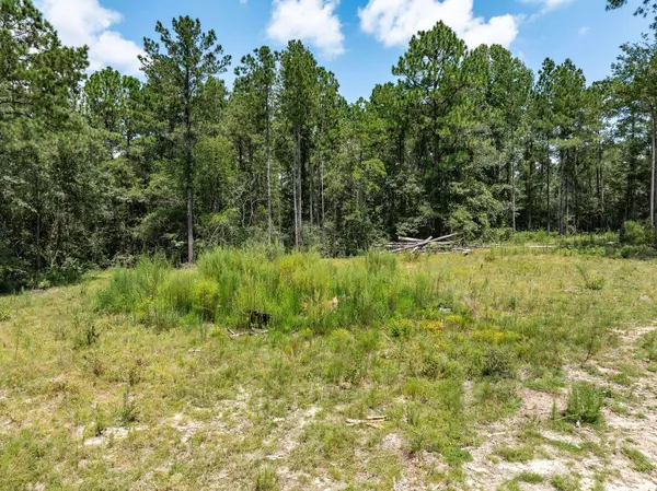 815 Eastabuchie Rd., Petal, MS 39465