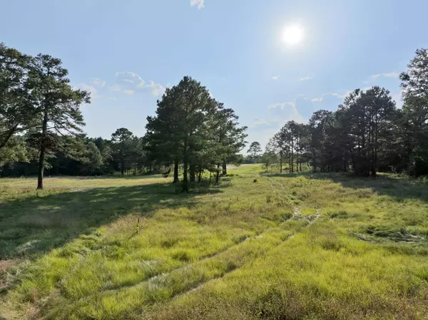 653 Leeville Rd., Petal, MS 39465