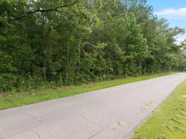 000 Scruggs, Sumrall, MS 39482