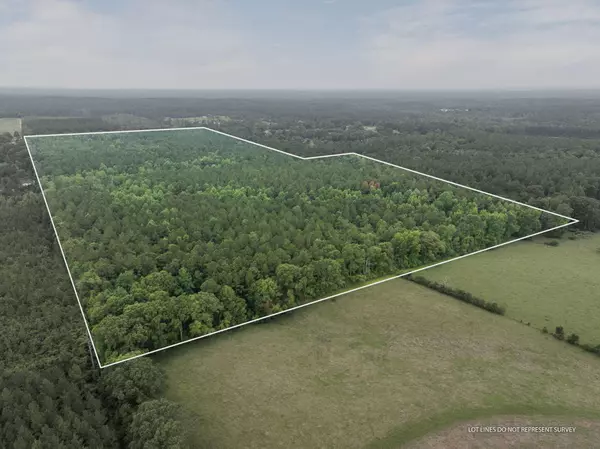 000 Scruggs, Sumrall, MS 39482