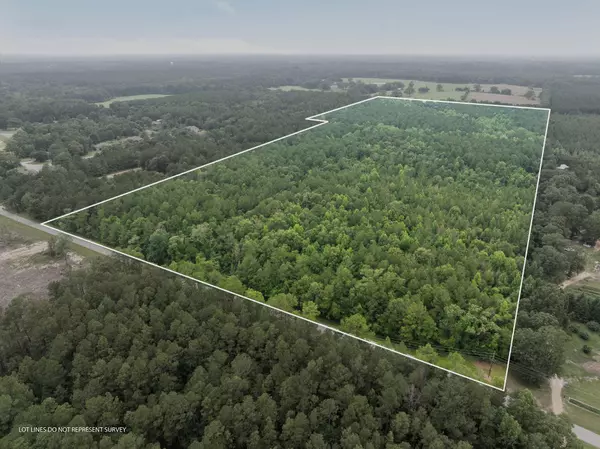 000 Scruggs, Sumrall, MS 39482