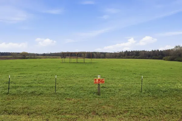 186 Friendship, Carson, MS 39427