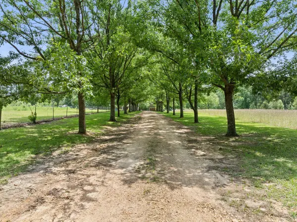 798 Purvis Oloh, Purvis, MS 39475