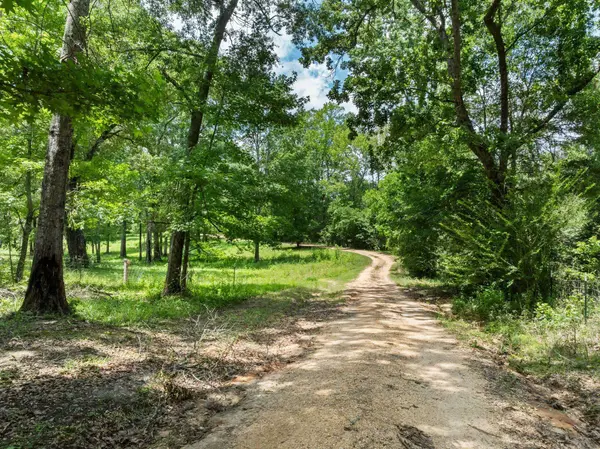 798 Purvis Oloh, Purvis, MS 39475