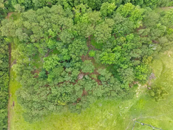187 Harold Tucker, Purvis, MS 39475
