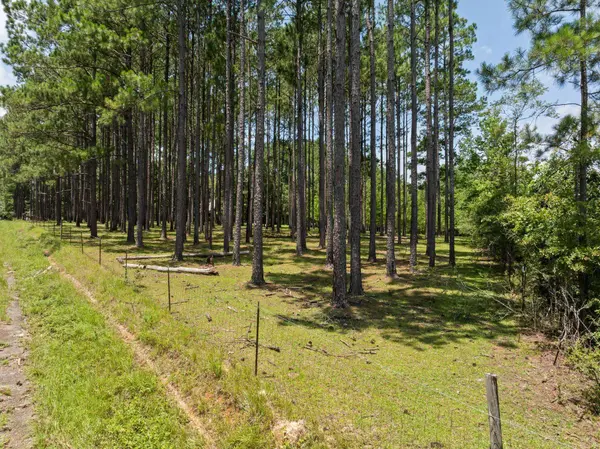641 Lookout Tower, Purvis, MS 39475
