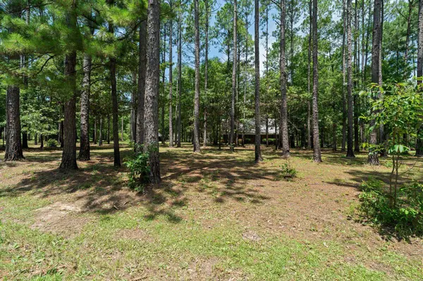 641 Lookout Tower, Purvis, MS 39475