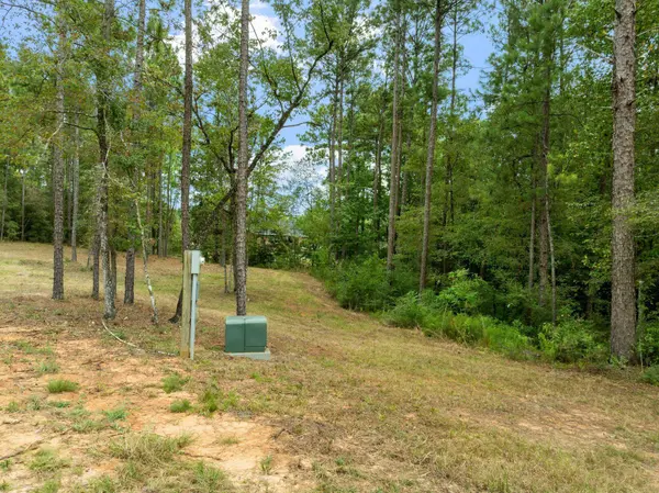 9 N Fork Dr., Petal, MS 39465