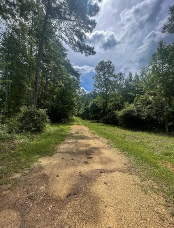 40 Deer Meadow, Sumrall, MS 39482