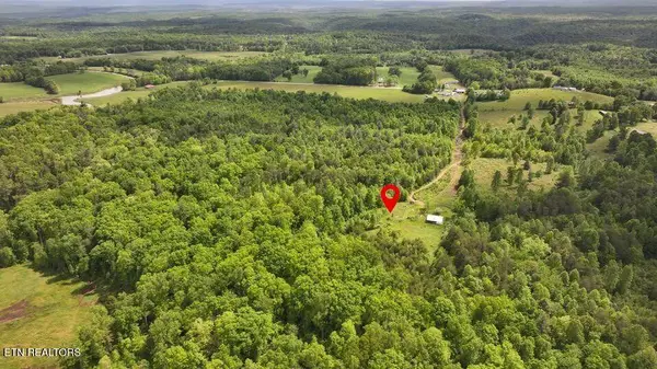 Tim Jones Rd, Deer Lodge, TN 37726