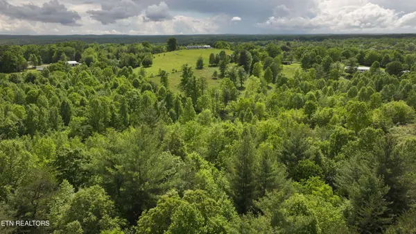 Tim Jones Rd, Deer Lodge, TN 37726