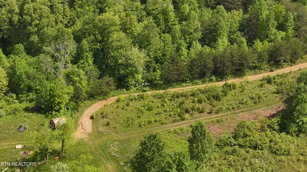 Tim Jones Rd, Deer Lodge, TN 37726