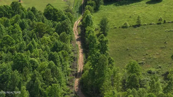 Tim Jones Rd, Deer Lodge, TN 37726