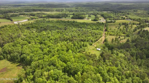 Tim Jones Rd, Deer Lodge, TN 37726