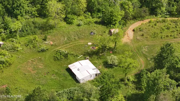 Tim Jones Rd, Deer Lodge, TN 37726