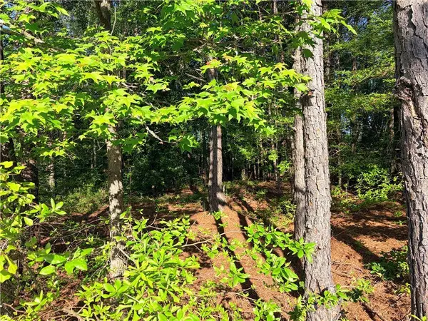 0 Lee Rd 2009, Phenix City, AL 36870