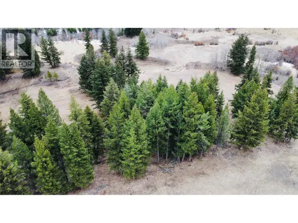 lot 1 Copper Creek Rd Road, Kamloops, BC V0K2J0