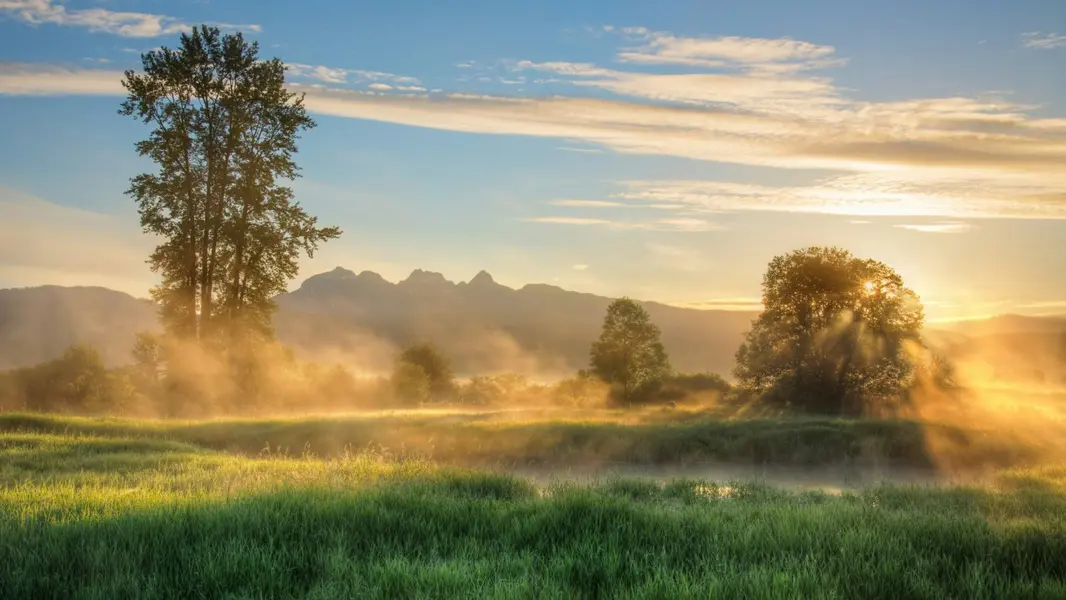 Maple Ridge