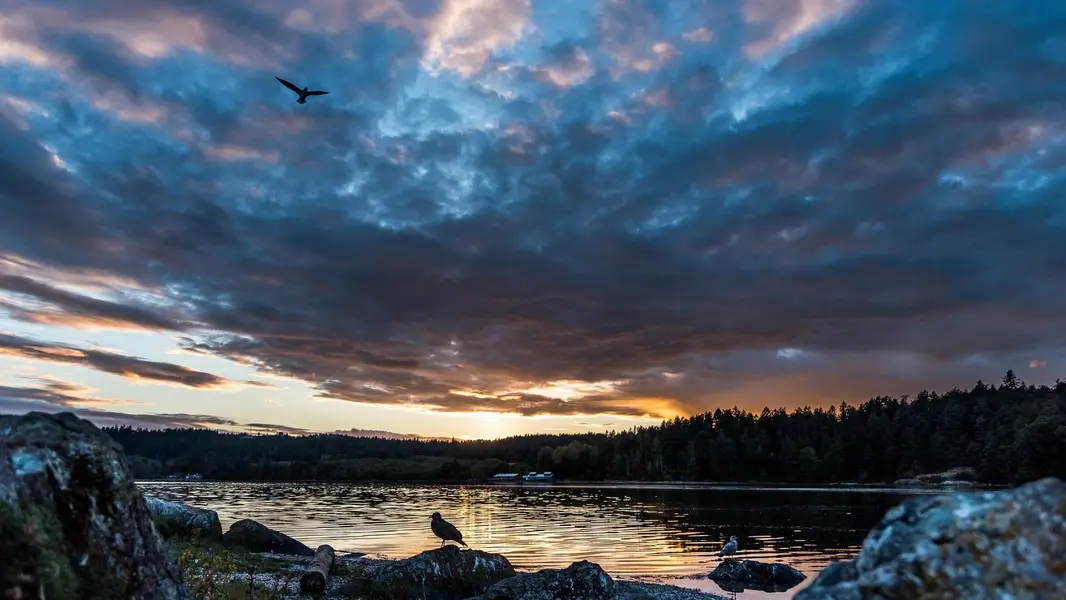 Lions Bay