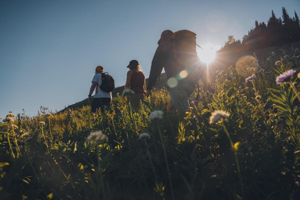 Summer mountain biking and hiking at Sun Peaks BC