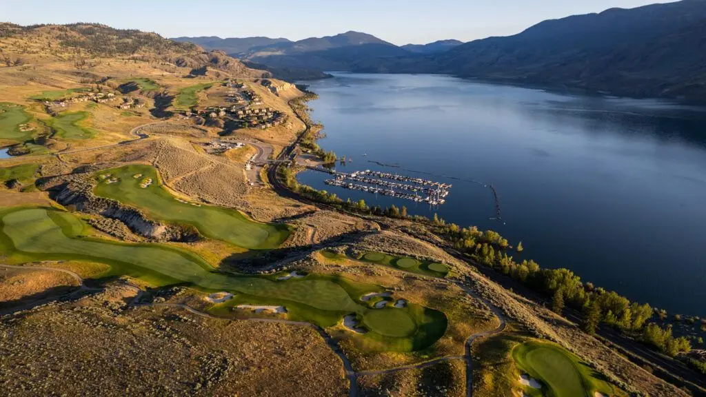 Tobiano