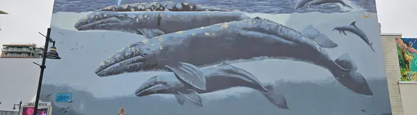 What Buyers Often Like About Miramar Village