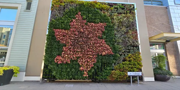 20 Avenue / Highway 99 Overpass Work Is Now Underway. Will This Be Good or Bad for Your Neighbourhood?