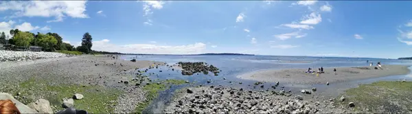 East Beach White Rock Neighbourhood Guide: Life by the Water